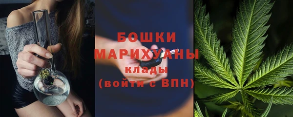 шишки Инсар