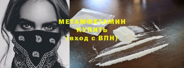 шишки Инсар