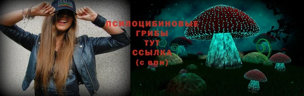 2c-b Иннополис