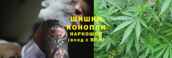 винт Инта