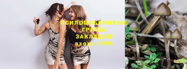 2c-b Иннополис