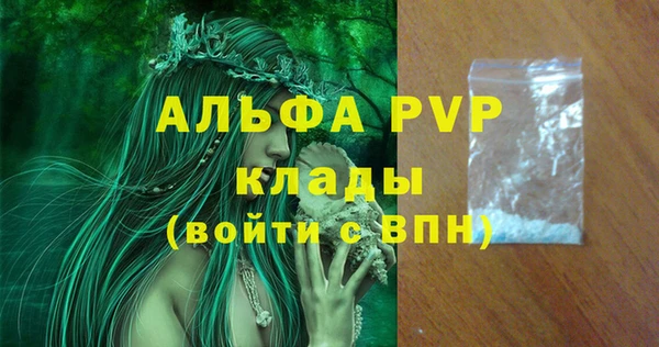 винт Инта