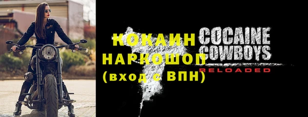 шишки Инсар