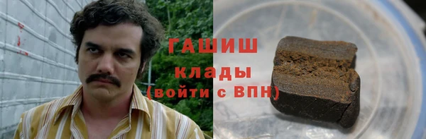 шишки Инсар