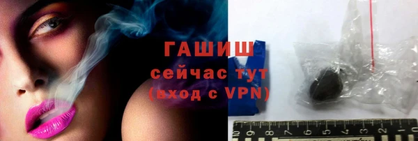 шишки Инсар