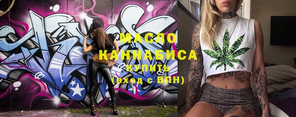 шишки Инсар