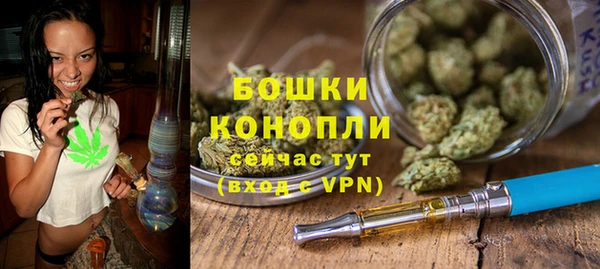шишки Инсар