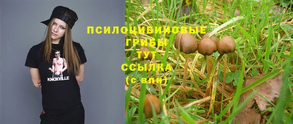 винт Инта