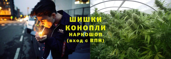 шишки Инсар