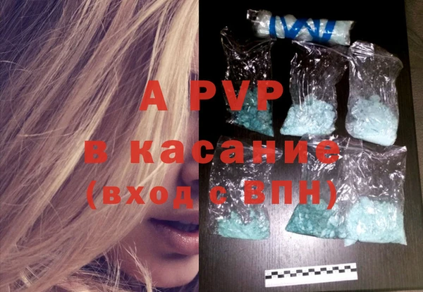 шишки Инсар