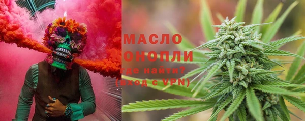 шишки Инсар