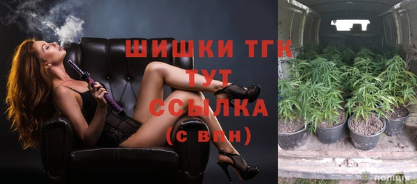 2c-b Иннополис