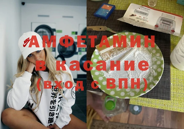 шишки Инсар