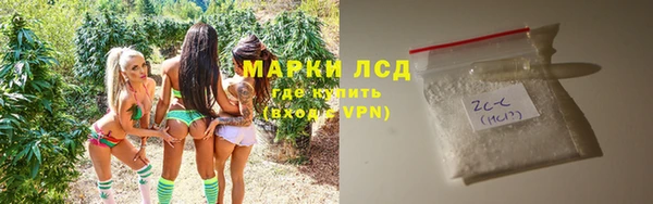 шишки Инсар